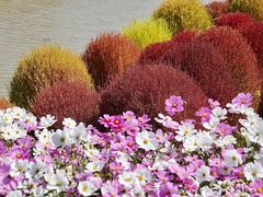 -花开海上生态园