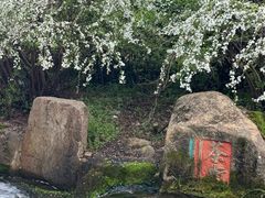 -中国茶叶博物馆(双峰馆区)