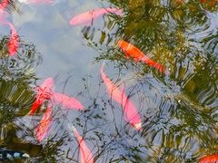 -恭王府博物馆