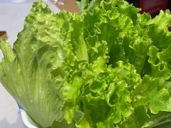 -杨记齐齐哈尔烤肉(总店)