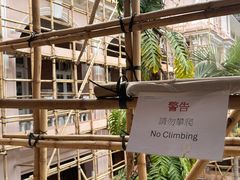 -香港大学