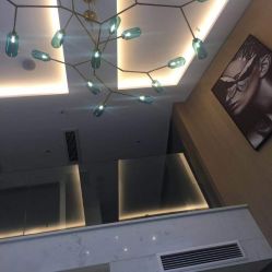 -美最美健康管理中心