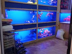 -山东柏宁水族批发广场