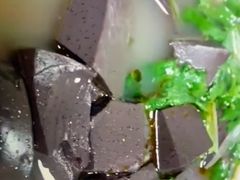 -春雨羊汤店(广开四马路总店)