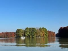 -上海海湾国家森林公园