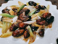 葱炒蝉蛹-韩风烤牛肉冷面店