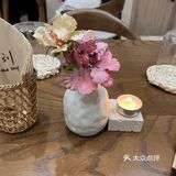 又是一个一人食[礼花]
