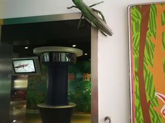 -上海昆虫博物馆