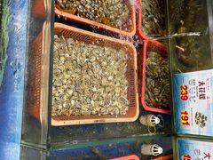 -东江海鲜酒家(艺都分店)