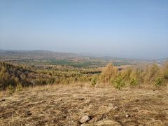 -塞罕坝国家级自然保护区