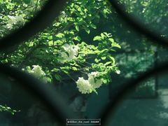 -苏州园林博物馆