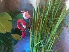 -十二饭点·川菜(北站圆融店)