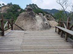-大岭沟猕猴桃谷风景区
