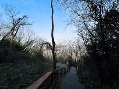 -大蜀山国家森林公园