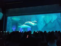 -上海海昌海洋公园-冰山北极馆