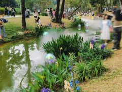 -人民公园(罗湖区)