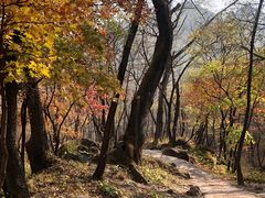 -玉渡山自然风景区