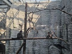 -武汉动物园