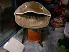 -十年猫舍·猫咪专门店(普陀店)