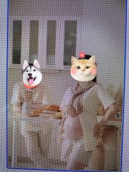 -初·印象孕妇儿童摄影馆