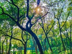 -禅宗少林·音乐大典