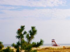 -日照海滨国家森林公园