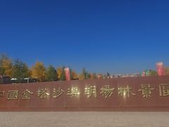 -金塔沙漠胡杨林景区
