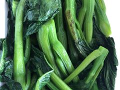 生炒菜心-禄源公·老莞诚饭店