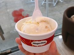 夏威夷果仁-哈根达斯(皇庭店)