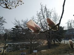 -国家植物园南园