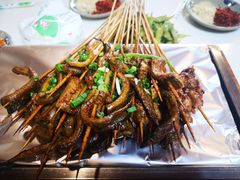 -晓靖轩烧烤(沙河风情店)