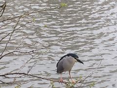 -苏州河梦清园环保主题公园