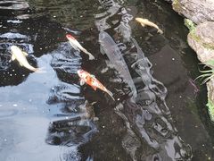 -聚福宝合苑食府(南头镇店)