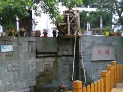 -上海市世外小学