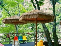 -洛阳白云山景区