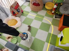-上海浦东smart汽车全功能店(金桥店)