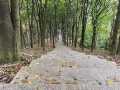 -火炉山森林公园