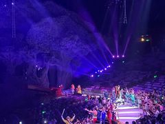 -广州长隆国际大马戏