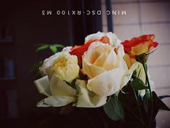 -双风车咖啡馆 Twin Windmills(六道口店)