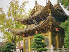 -上海东林寺(金山区)