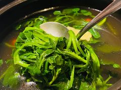 原味清汤西洋菜-晶采轩(虹桥路店)