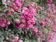 -北京展览馆