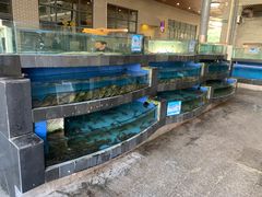 水产区-新灿记大酒楼