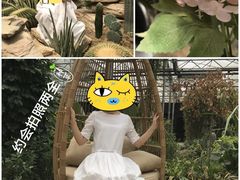 -桉树林A coffee 森林餐厅(三圣乡店)