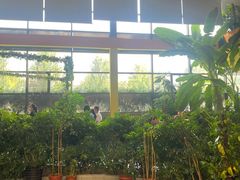 -君临七星生态酒店