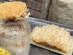 -巴倒烫陆派火锅山庄(南山总店)