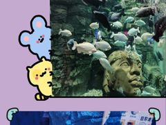 -成都浩海立方海洋公园