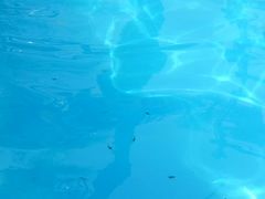 -杭州浪浪浪水公园