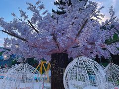 -大芦花风景区