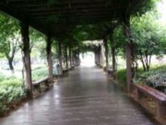 -白马涧龙池景区